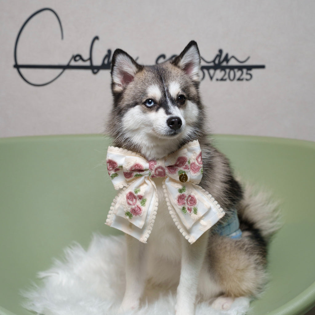 パルフラワーりぼん