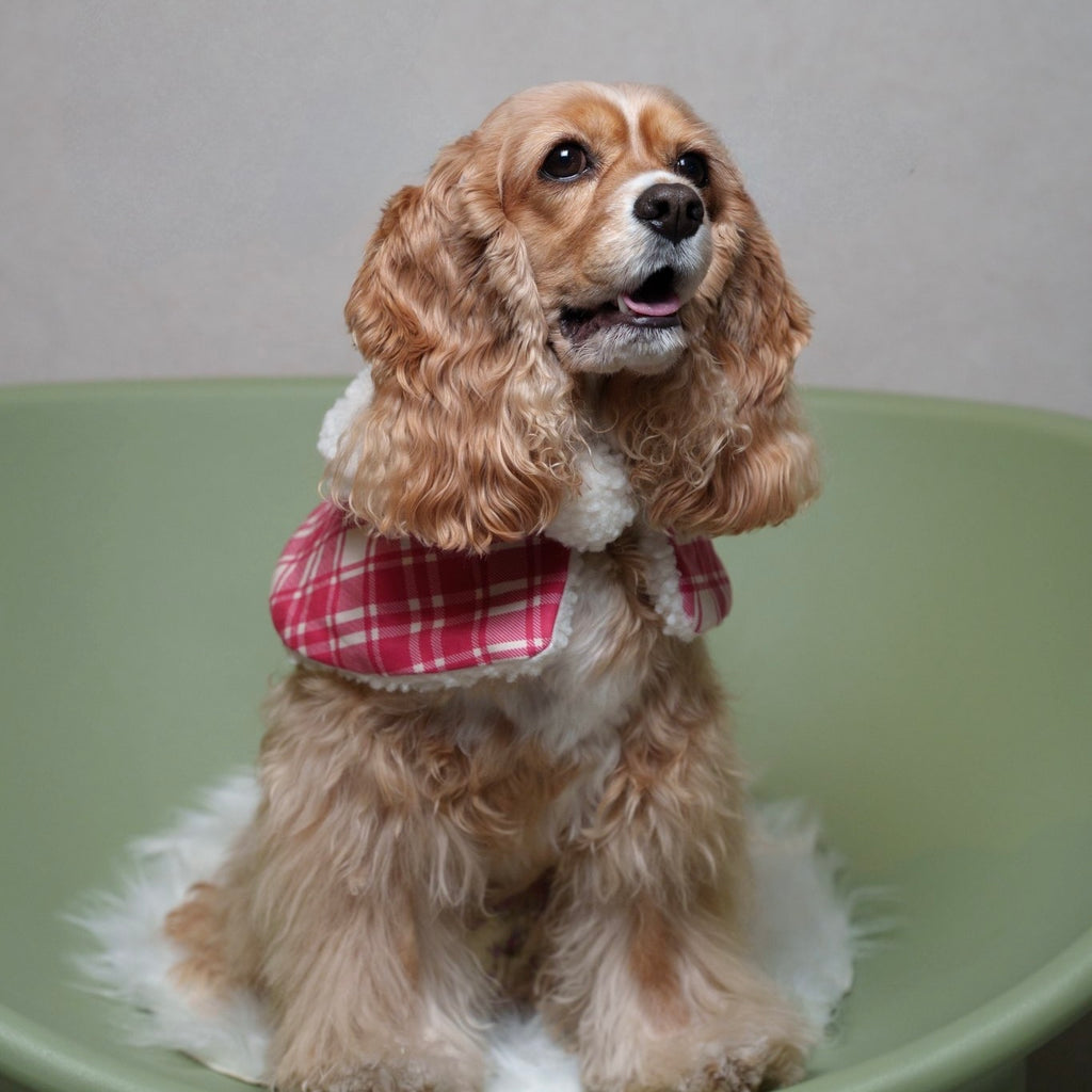 もこもこぷちケープ