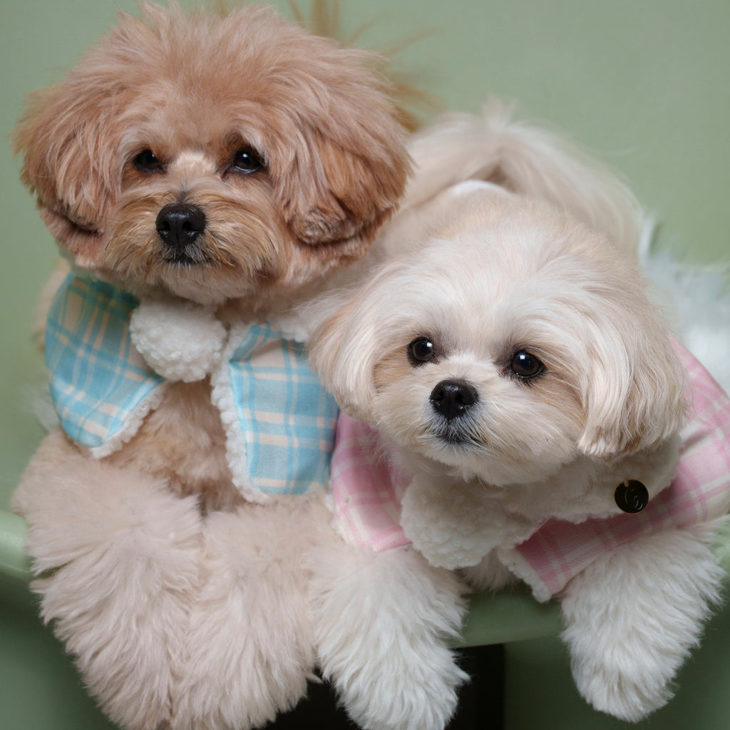 もこもこぷちケープ