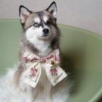 パルフラワーりぼん