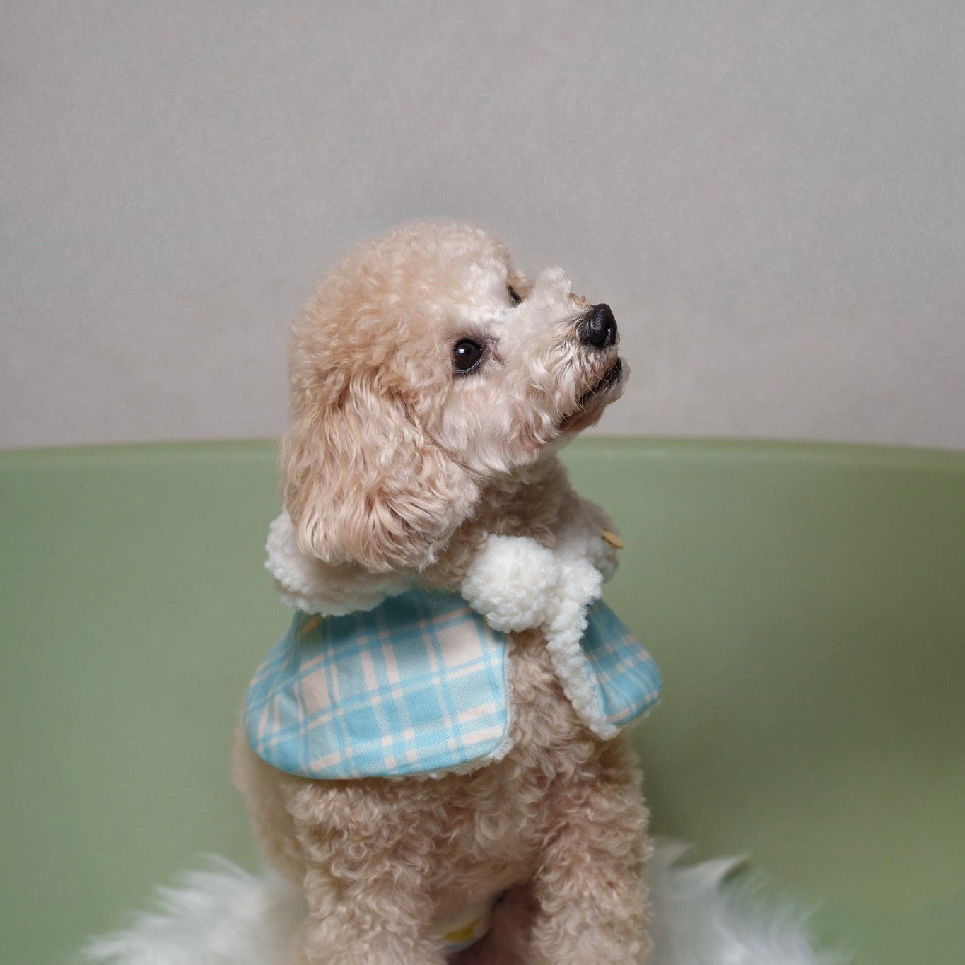 もこもこぷちケープ