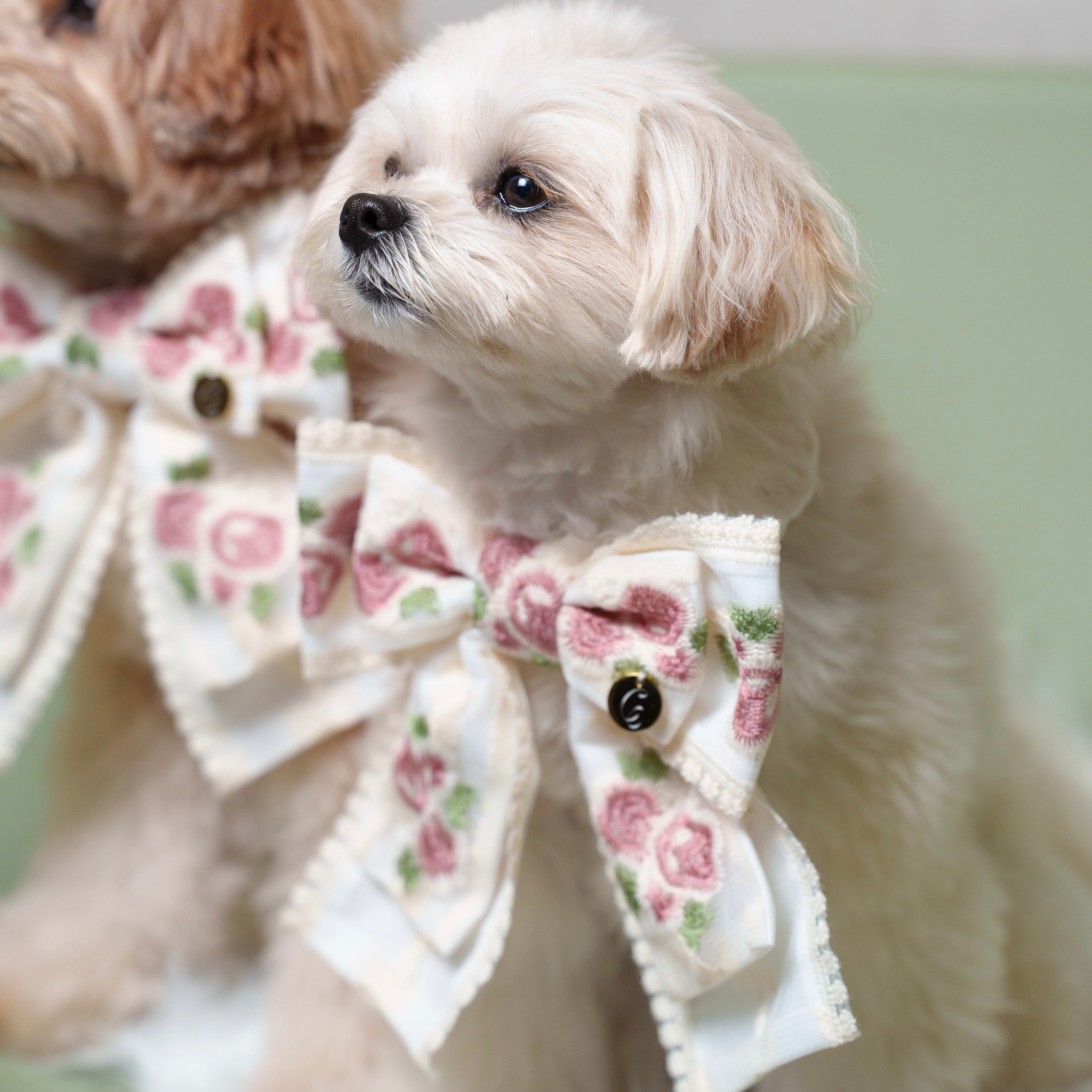 パルフラワーりぼん