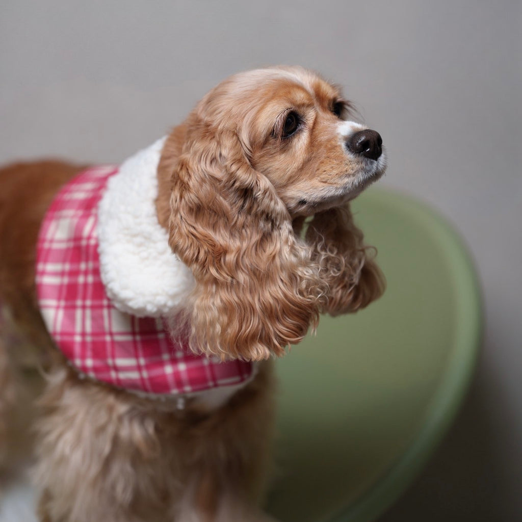 もこもこぷちケープ