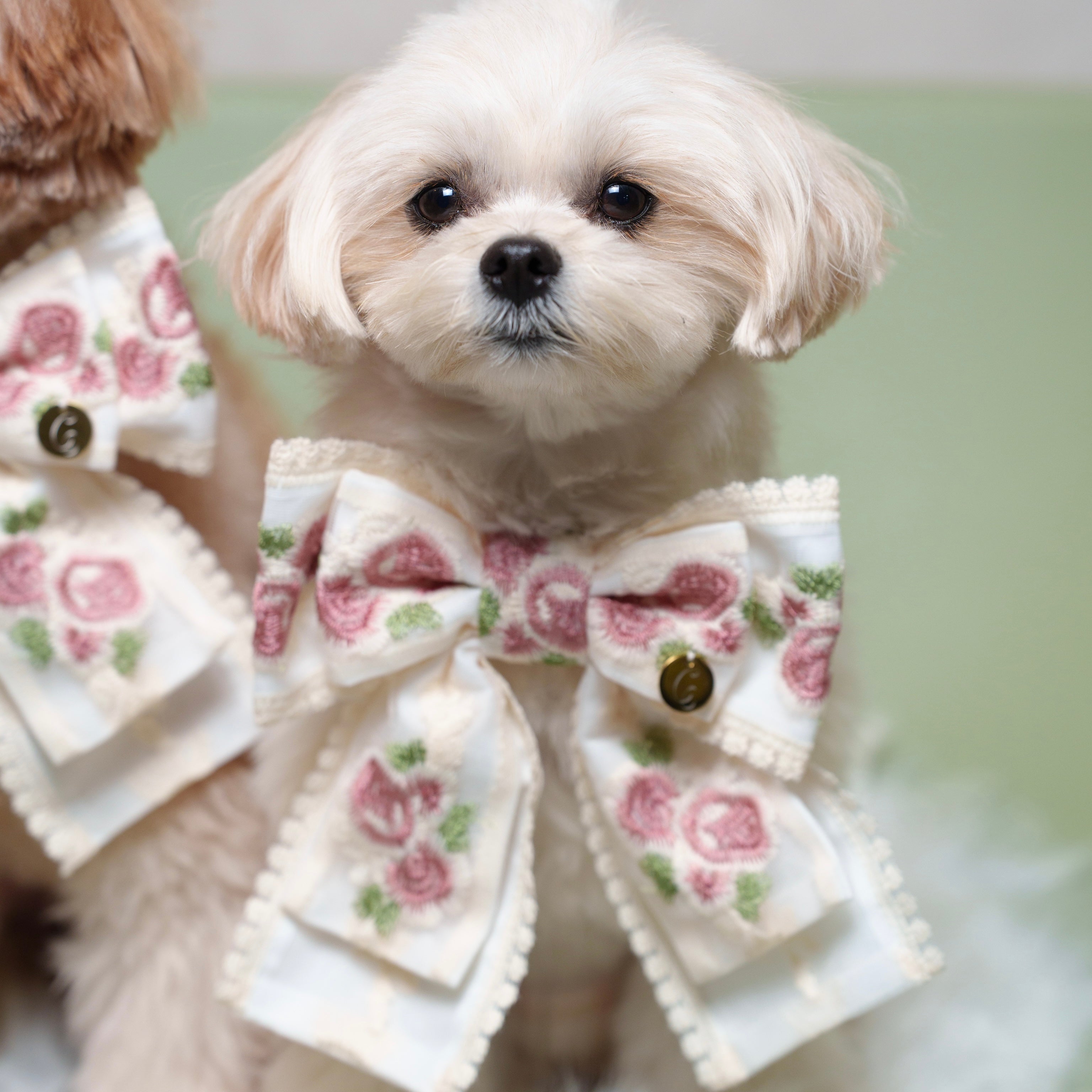 パルフラワーりぼん