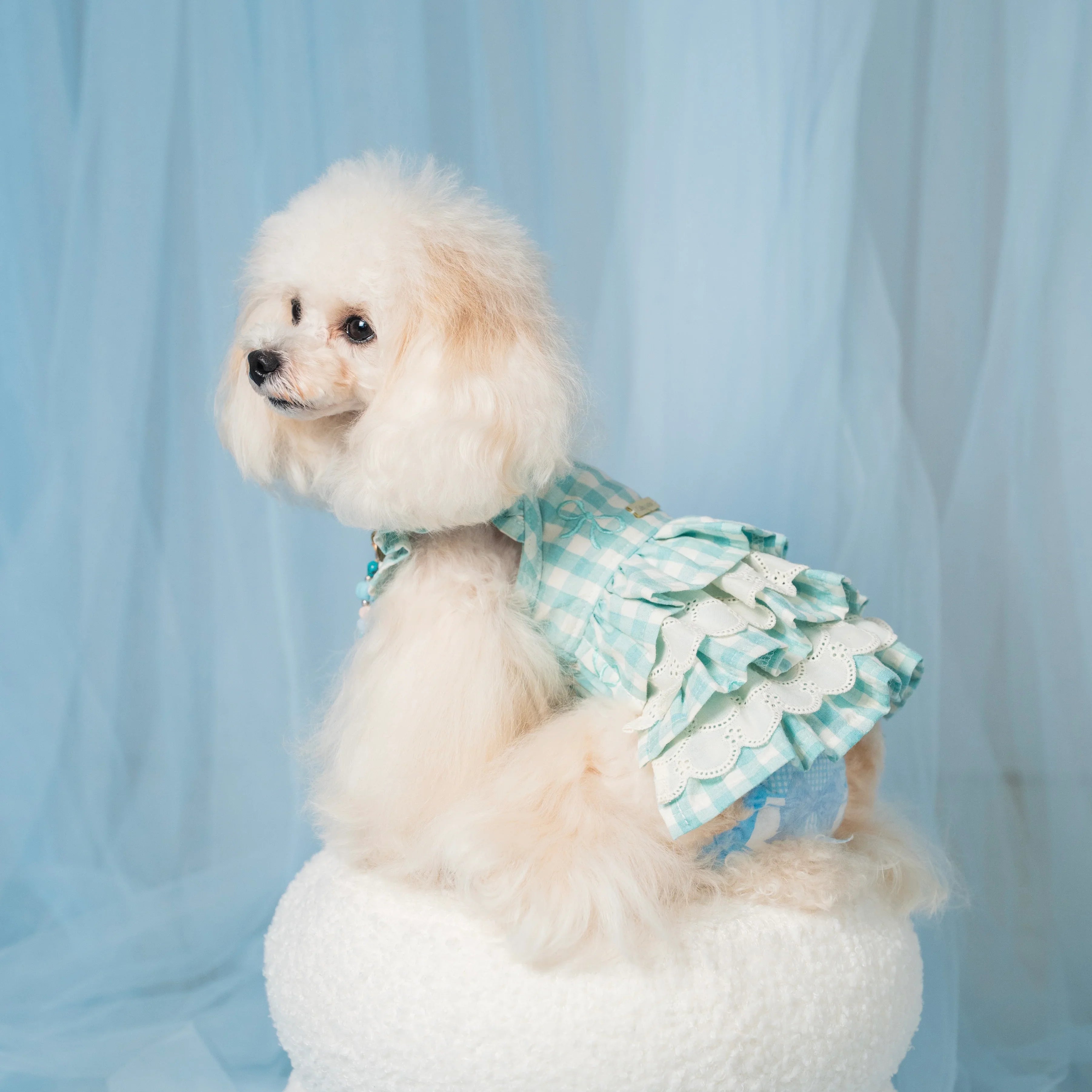 メロみるくワンピ