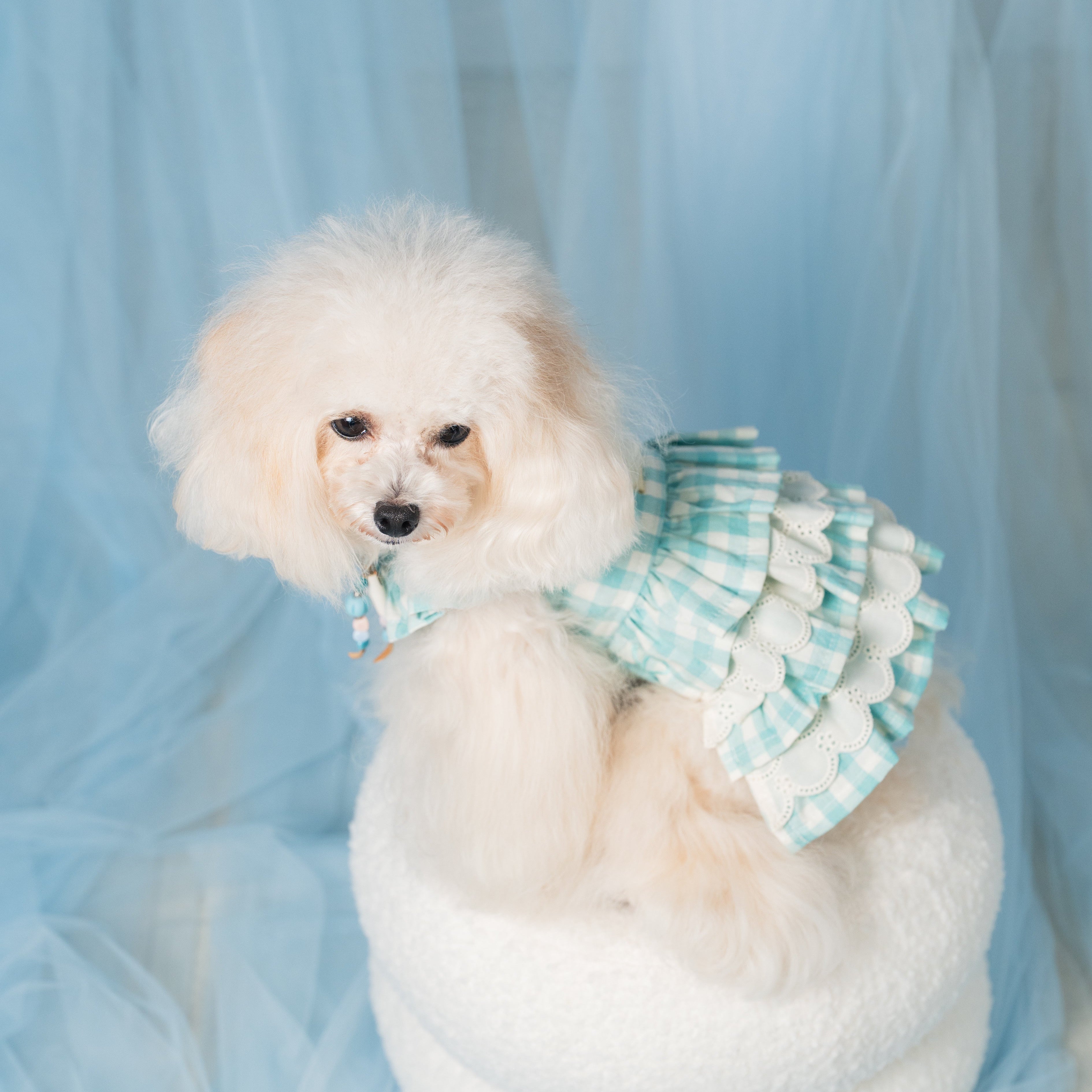 メロみるくワンピ