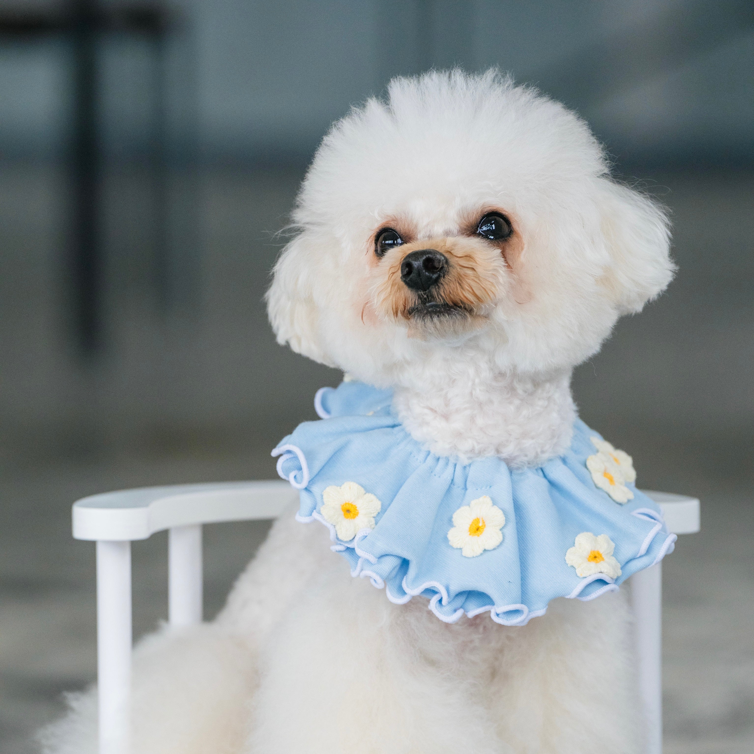デイジーの立体刺繍ビブ